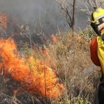 Mato Grosso entra em estado de emergência ambiental com alta em incêndios florestais