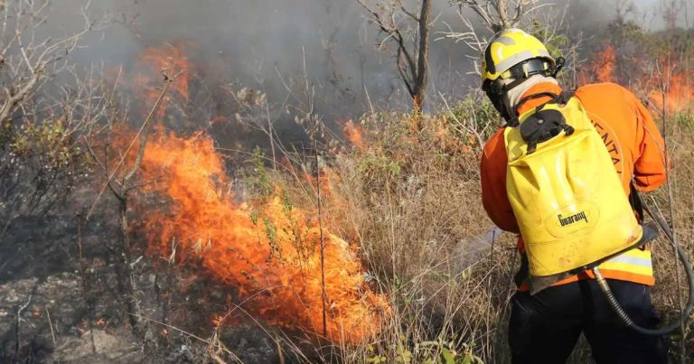 Mato Grosso entra em estado de emergência ambiental com alta em incêndios florestais